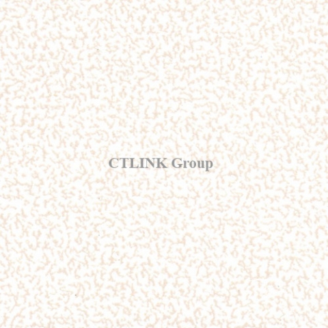 Sàn nâng kỹ thuật khuôn thép lõi xi măng mặt phủ HPL chống tĩnh điện Anti Static